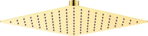 Deante Głowica prysznicowa stalowa - 250x250 mm NAC_Z02K