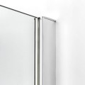 New Trendy Drzwi Wnękowe New Renoma 1D L 100X195 Czyste 6mm Active Shield 2 0  D-0099A