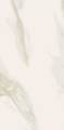 1b92a2f42b0f3e2534ecc38e6f3031dd