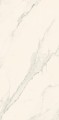a565e05d8db38dcdd505ed8ab5e580ca