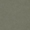 7cc1b320a2916ee2352be7d47deec200