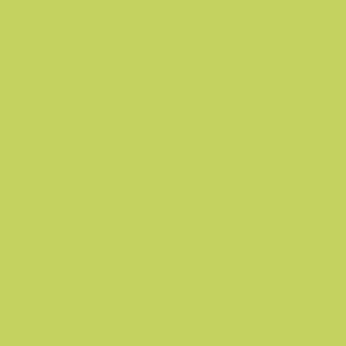 GAMMA COLOURS SELEDYNOWA SCIANA POLYSK 19,8X19,8 G1