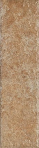 ILARIO OCHRA ELEWACJA 24,5X6,6 G1
