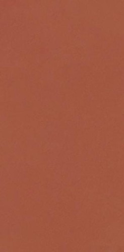 NEVE CREATIVE TERRACOTTA SCIANA MAT 9,8X19,8 G1