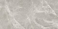 Aston Grey Poler 60x120