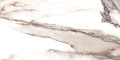 Calacatta Gold Poler 60x120 Gat 1