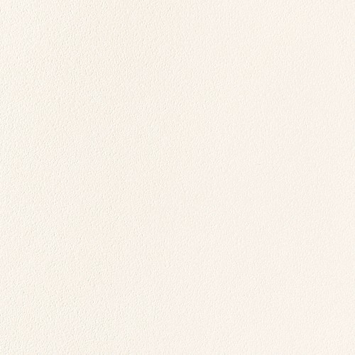 Płytka podłogowa All in white / white 59,8x59,8 Gat.1