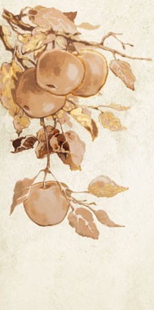 Dekor ścienny Enna apple 22,3x44,8