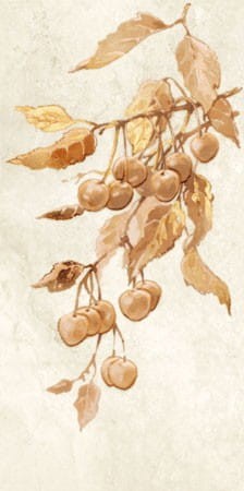 Dekor ścienny Enna cherry 22,3x44,8